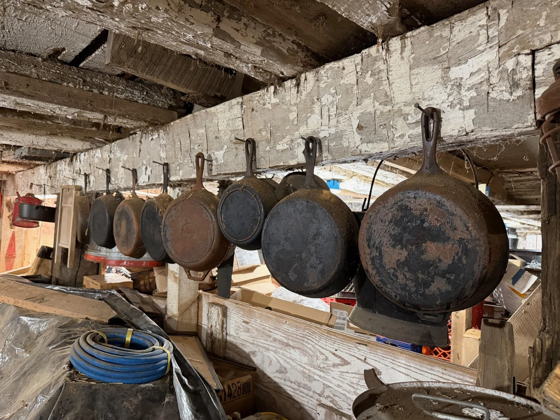 1bcbbf5a-74ed-42bd-b26d-68a046bb06ad