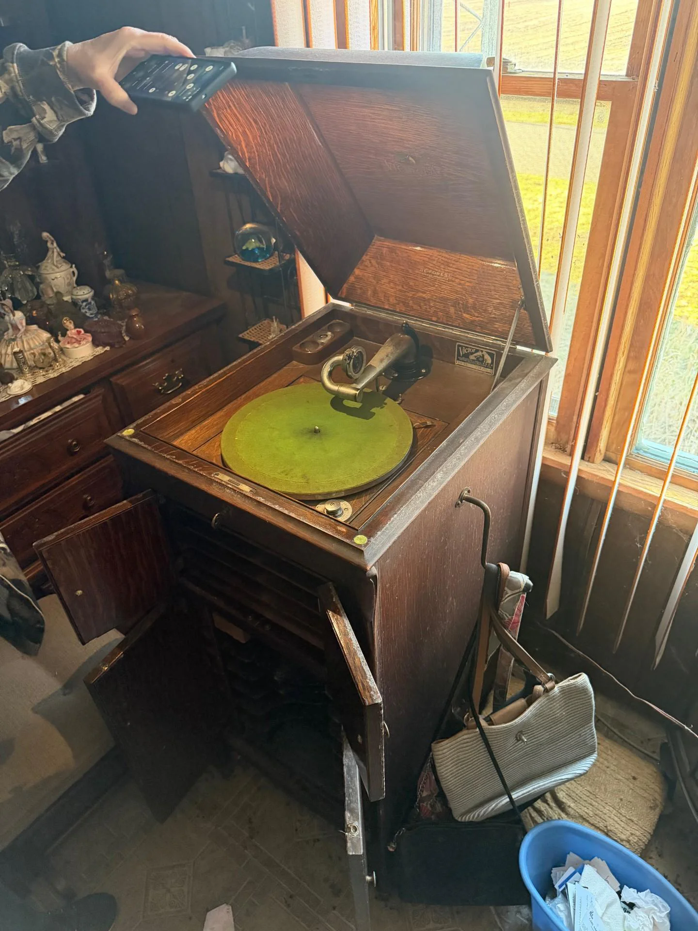 62bcadae-5a15-4983-9748-b9614da3d8c2